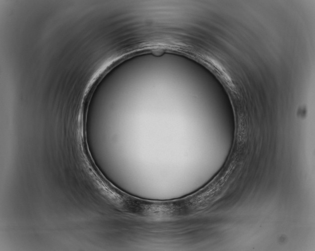 X0000100320796200806121103