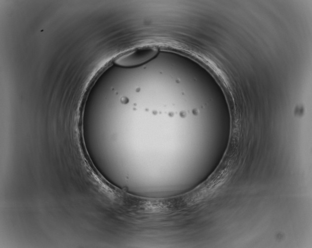 X0000100320799200806121103