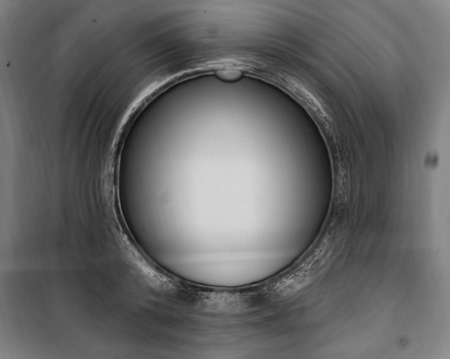 X0000100320800200806121103