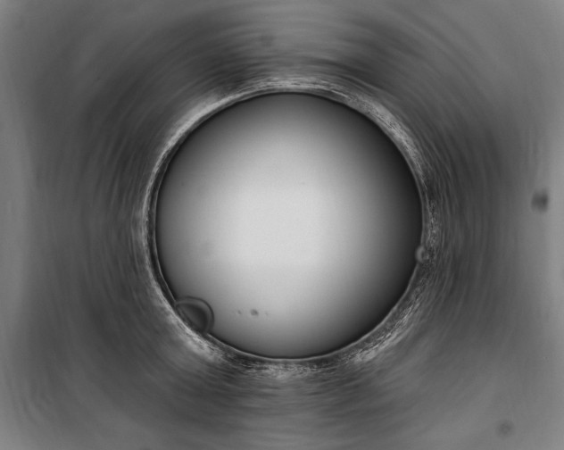 X0000100320803200806121103