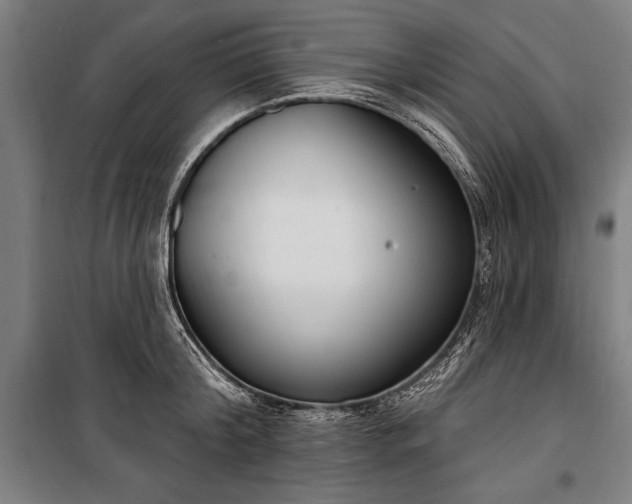 X0000100320804200806121103