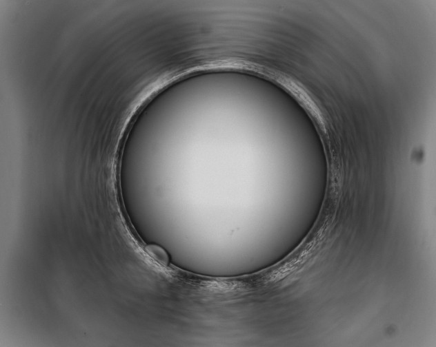 X0000100320805200806121103