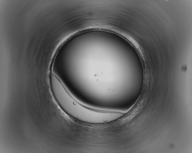 X0000100320807200806121103