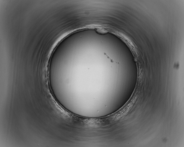 X0000100320808200806121102