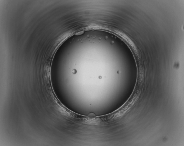 X0000100320809200806121102