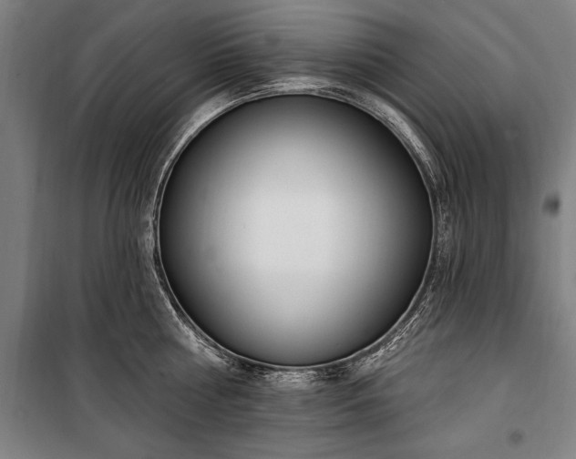 X0000100320810200806121102