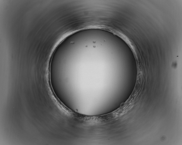 X0000100320811200806121102