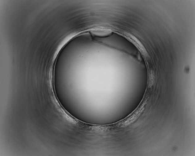 X0000100320812200806121102