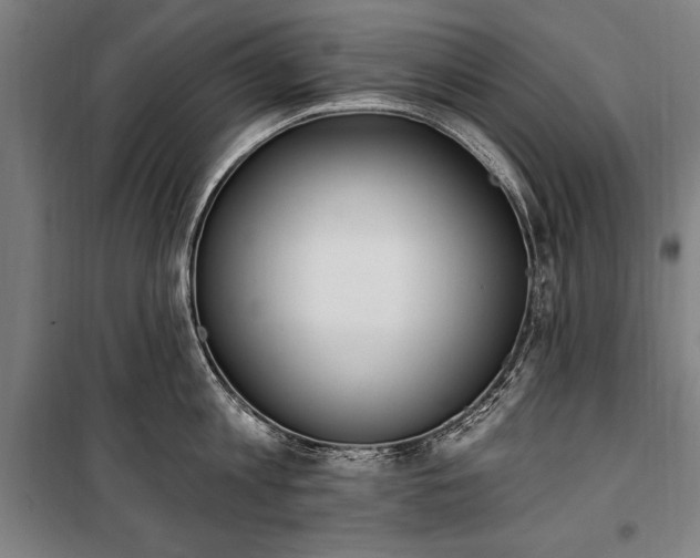 X0000100320813200806121102