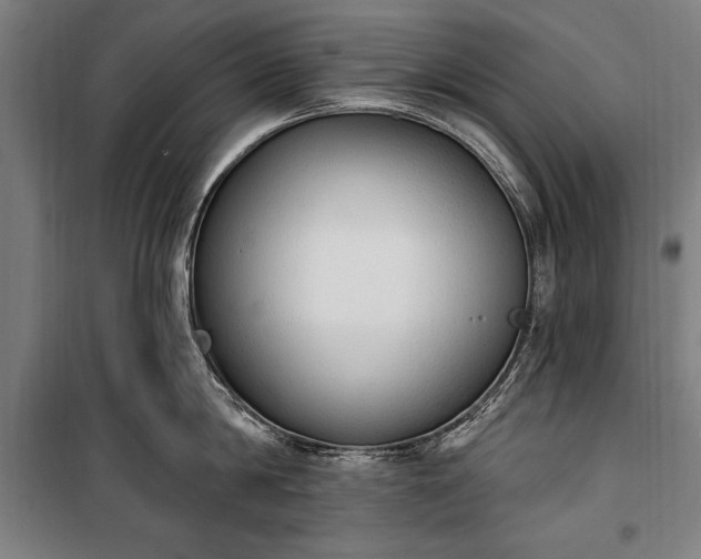 X0000100320814200806121102