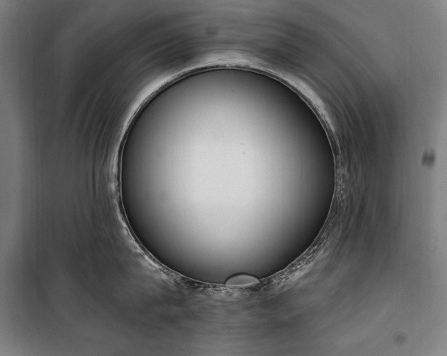 X0000100320815200806121102