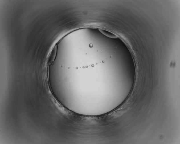 X0000100320816200806121102