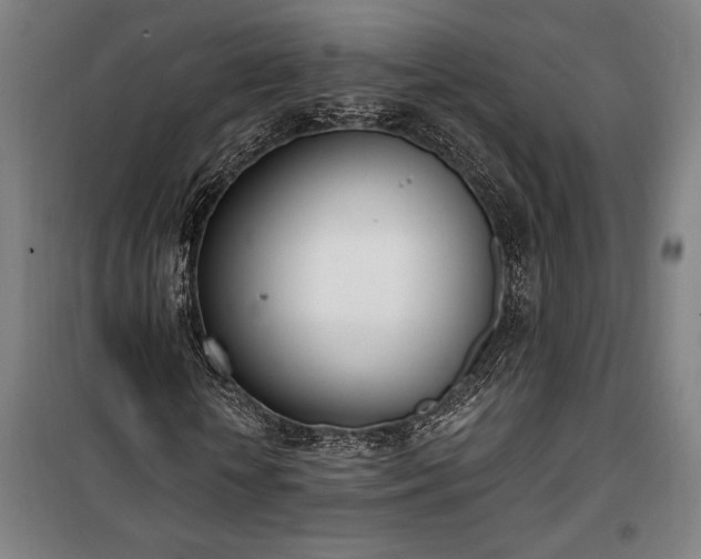 X0000100320818200806121102