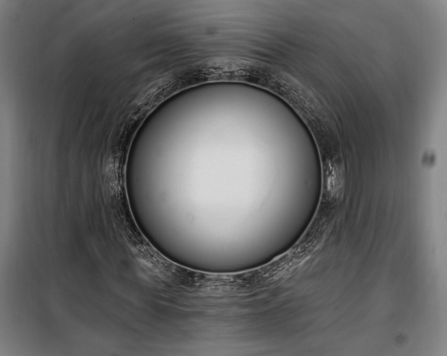 X0000100320819200806121102