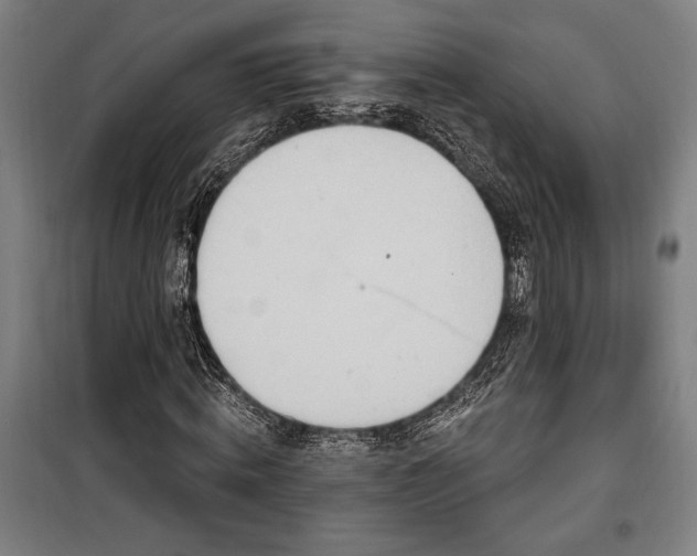 X0000100320820200806121102