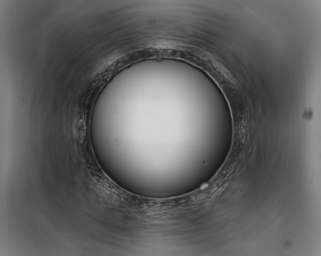 X0000100320821200806121102