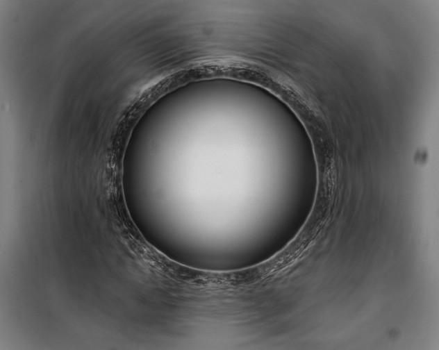 X0000100320822200806121102