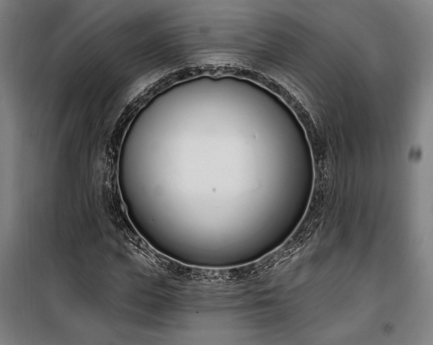 X0000100320823200806121102