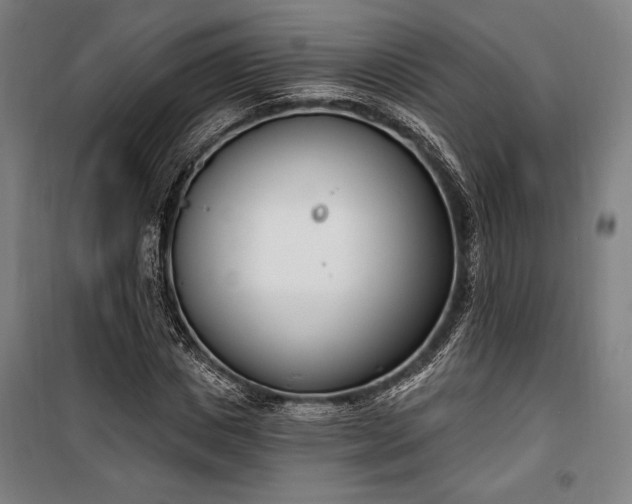 X0000100320825200806121102