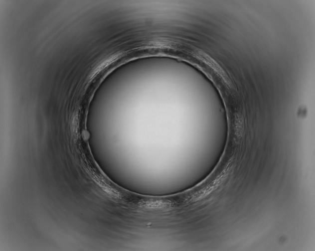 X0000100320826200806121102