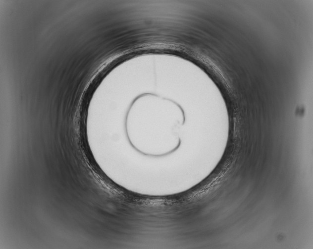 X0000100320828200806121102