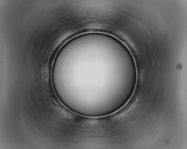 X0000100320829200806121102