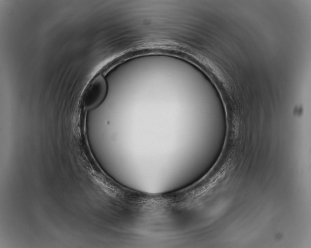 X0000100320830200806121102