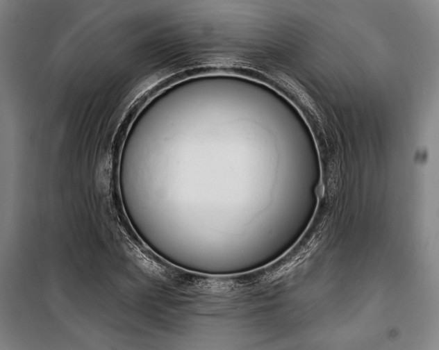 X0000100320831200806121102