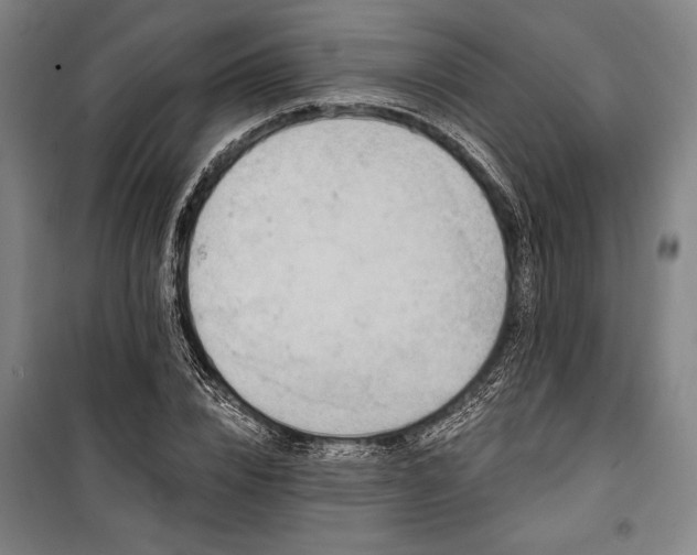 X0000100320832200806121102