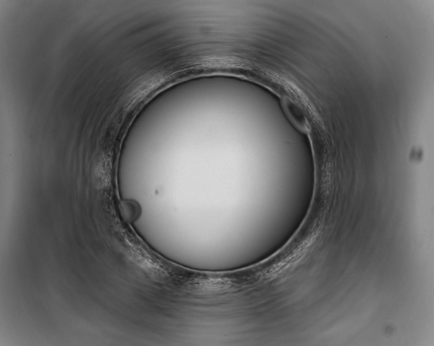 X0000100320833200806121102