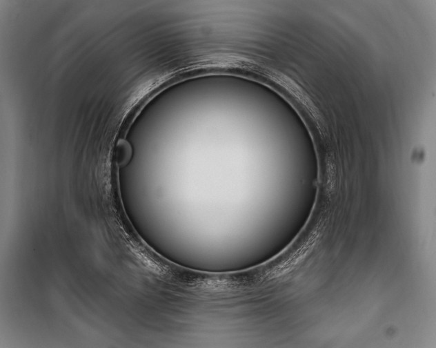 X0000100320834200806121102