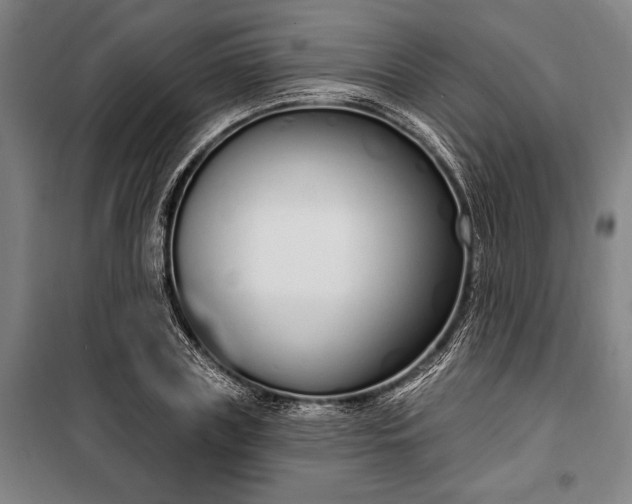 X0000100320835200806121102