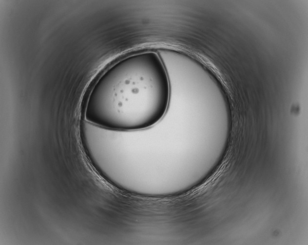 X0000100320836200806121102