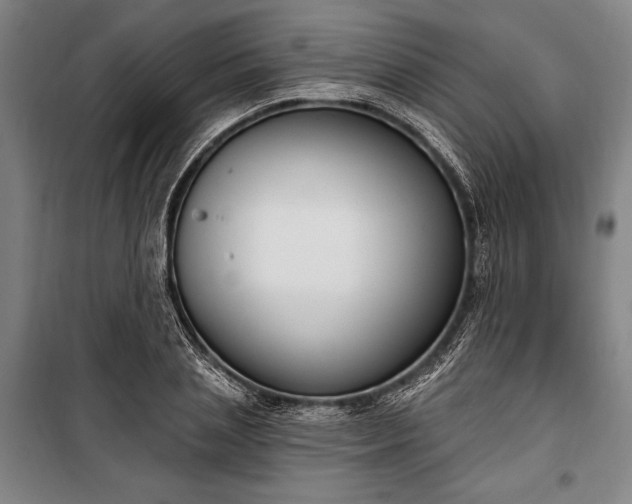 X0000100320837200806121102