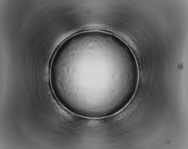 X0000100320839200806121102