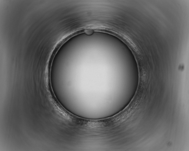 X0000100320840200806121102