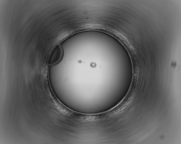 X0000100320841200806121102