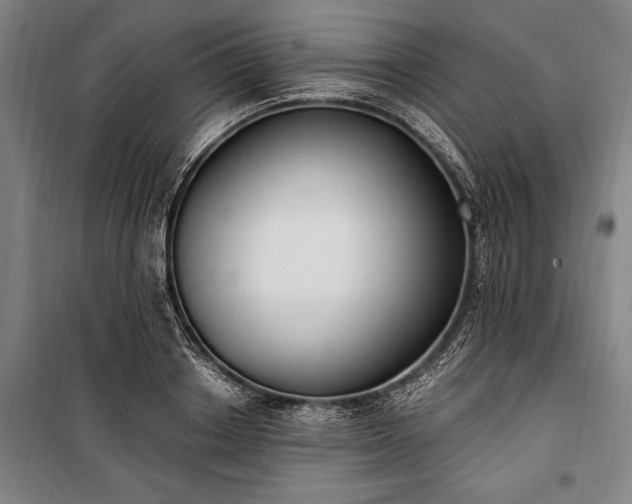 X0000100320842200806121102