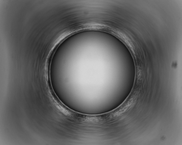 X0000100320843200806121102