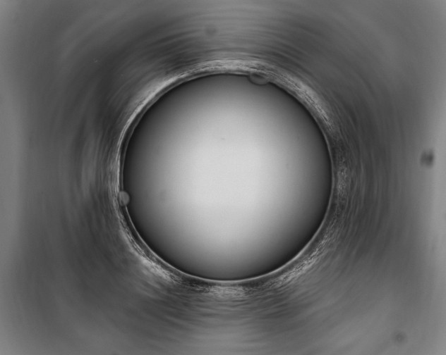 X0000100320844200806121102