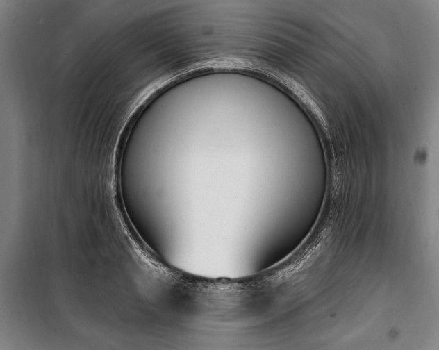 X0000100320845200806121102