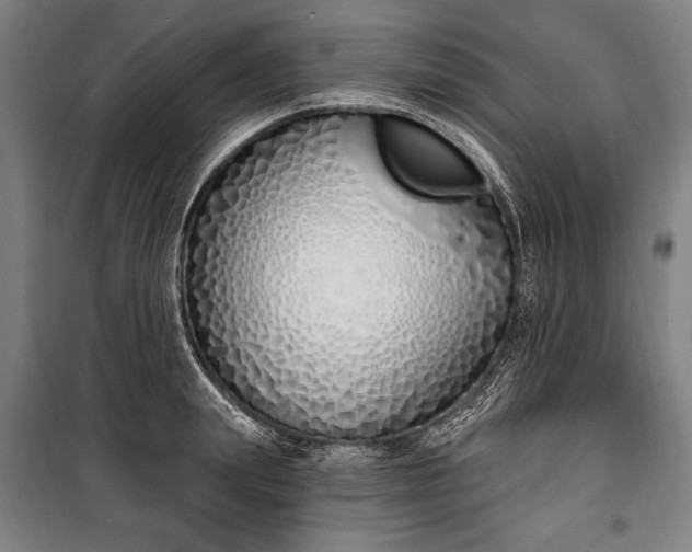 X0000100320847200806121102