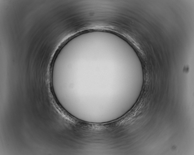 X0000100320848200806121102