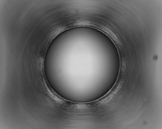 X0000100320849200806121102