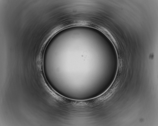 X0000100320851200806121102