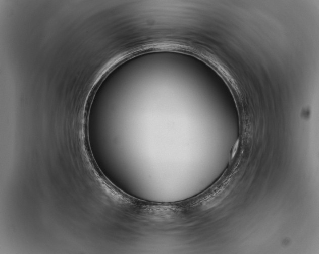 X0000100320853200806121102