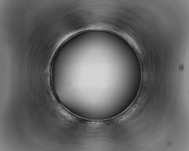 X0000100320854200806121102