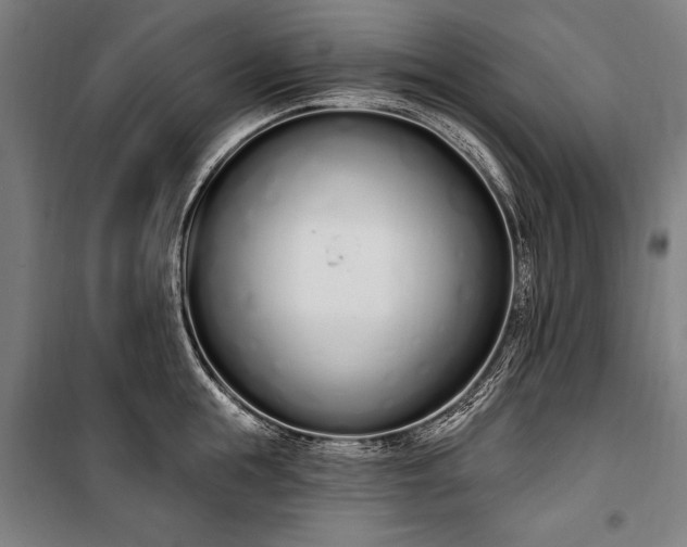 X0000100320855200806121102