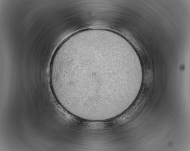 X0000100320856200806121102