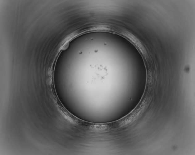 X0000100320858200806121102